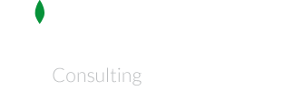 FC Morissette Consulting